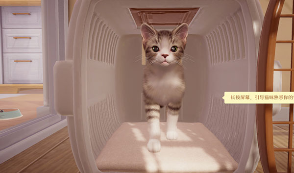 我和我的猫游戏官方版