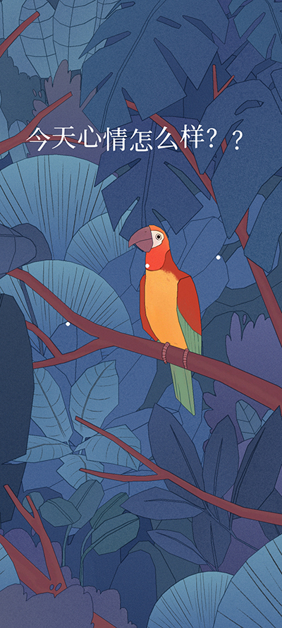 孤独的鸟儿正版