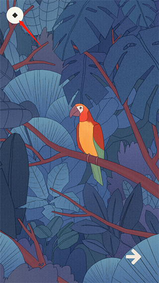 孤独的鸟儿正版