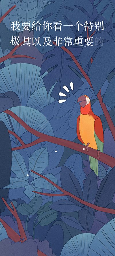 孤独的鸟儿正版