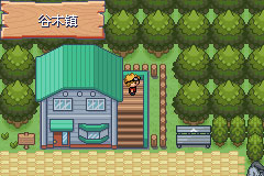 口袋妖怪釉色中文版