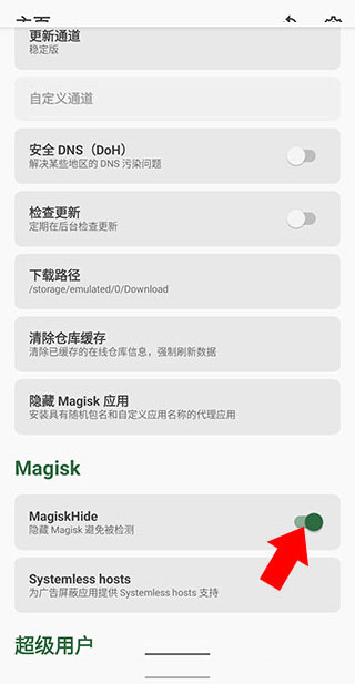 宝可梦大师ex官方正版