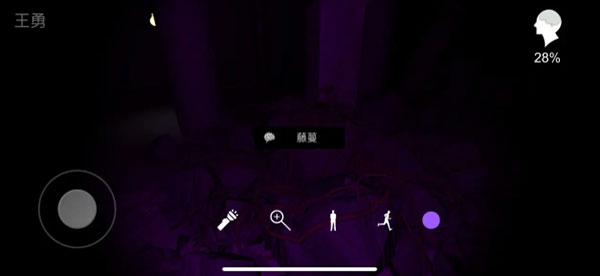 孙美琪疑案兰芝游戏