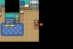 口袋妖怪釉色中文版