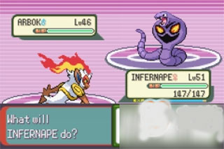 口袋妖怪釉色中文版