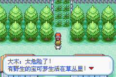 口袋妖怪火红手游