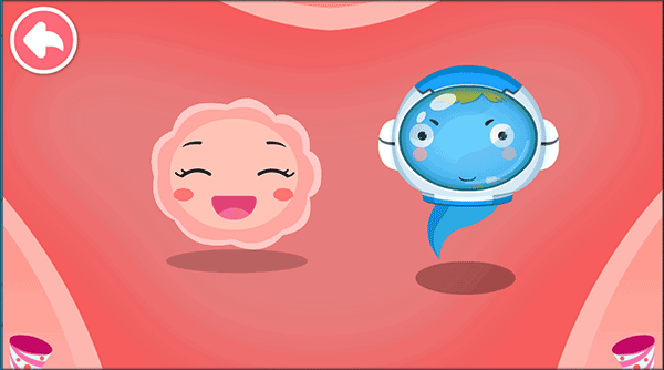 宝宝从哪来游戏