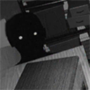 寻找伪人 最新版