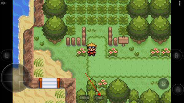 口袋妖怪釉色中文版