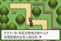 口袋妖怪釉色中文版