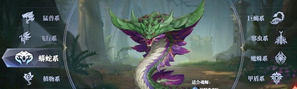 斗罗大陆魂师对决杨紫代言版