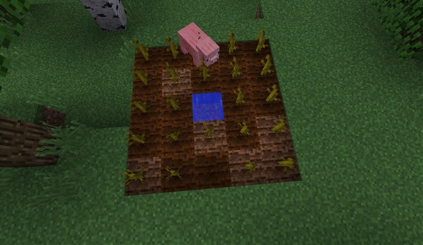 我的世界国际版正式版手机版