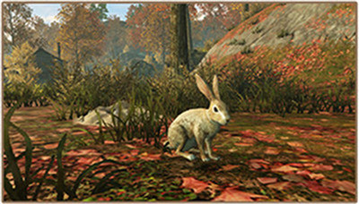 明日之后抢先体验服