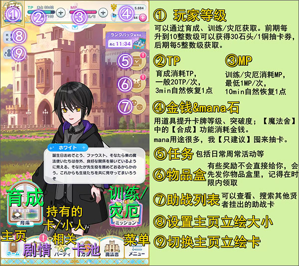 魔法使的约定游戏