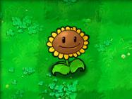 植物大战僵尸魔改版手机版