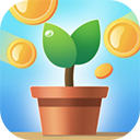 阳光金币屋安卓版