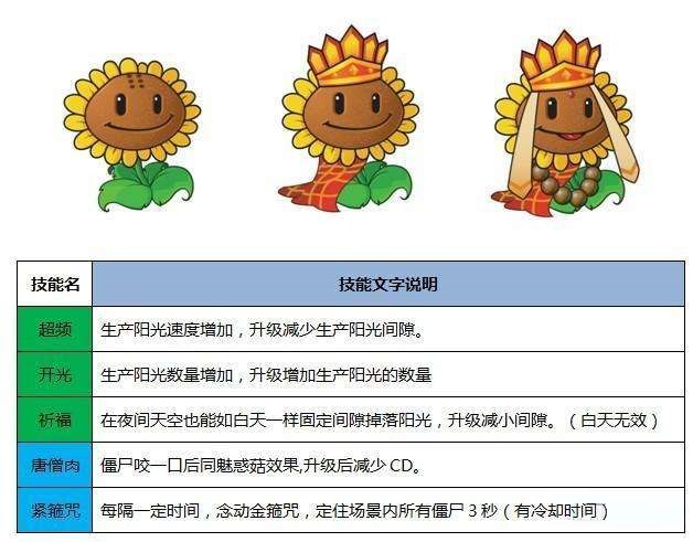 植物大战僵尸西游版官方正版