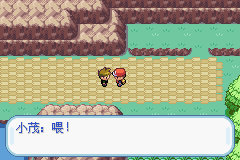 口袋妖怪叶绿中文珍藏版手机版