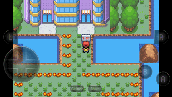 口袋妖怪新世界传奇彼岸花绽放之夜手游