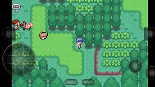 宝可梦洛克王国官方正版