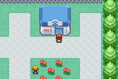 口袋妖怪叶绿中文珍藏版手机版