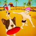 BeachFrisbee3D
