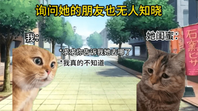 猫meme搞怪冒险 手机版