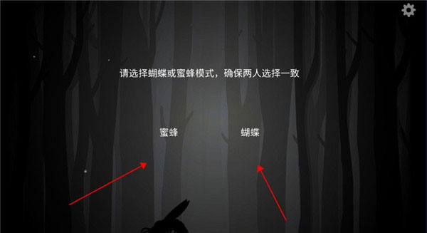 the past within双人联机版