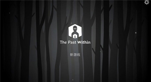the past within双人联机版