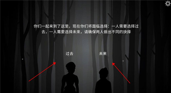 the past within双人联机版