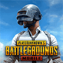 pubg国际服 obb数据包