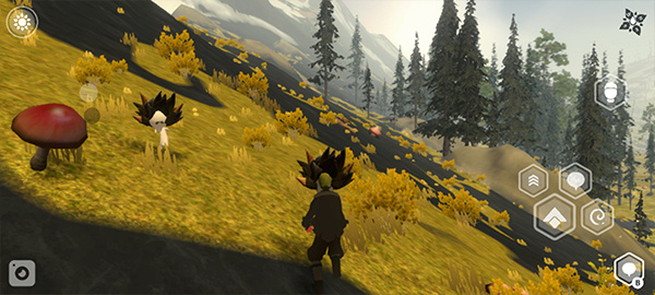 wilderless流浪荒野