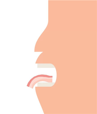 培根Bacon 官网入口