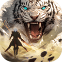 圣境之塔国际服