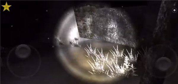 恐怖森林2手机版