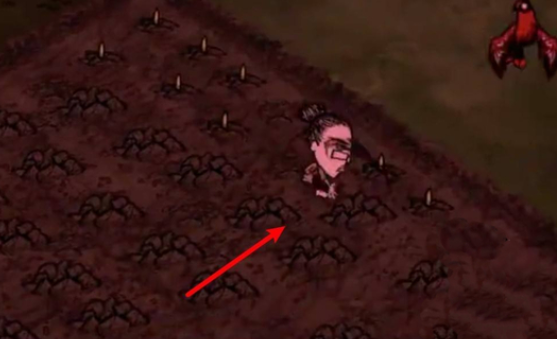 饥荒新家园联机版2025最新版