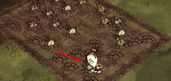 饥荒新家园联机版2025最新版