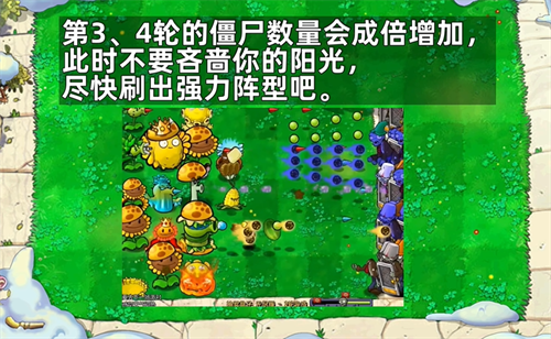 植物大战僵尸杂交版随机盲盒 官方版