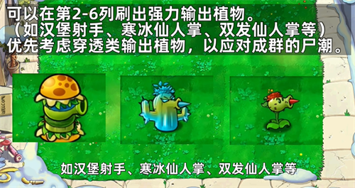 植物大战僵尸杂交版随机盲盒