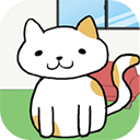 我的猫咪在哪儿