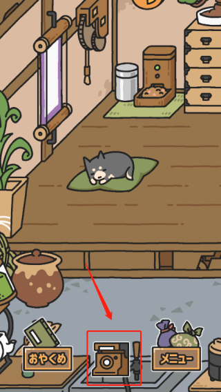 狗狗的使命官方版