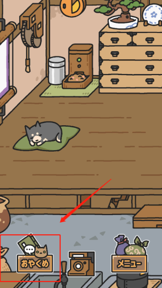 狗狗的使命官方版