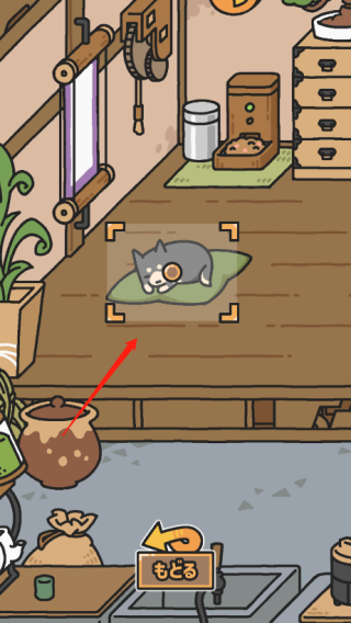 狗狗的使命官方版