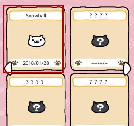 猫咪后院2 最新版