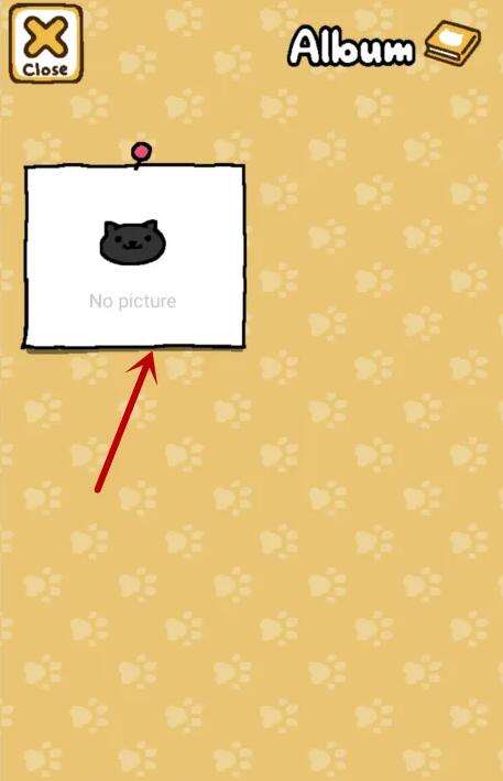 猫咪后院2 最新版