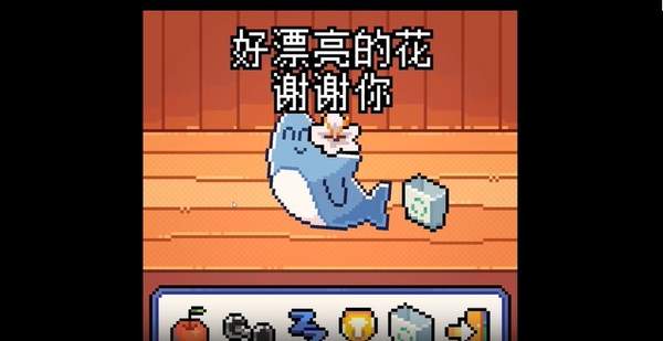 我的小鲨鱼 b站自制