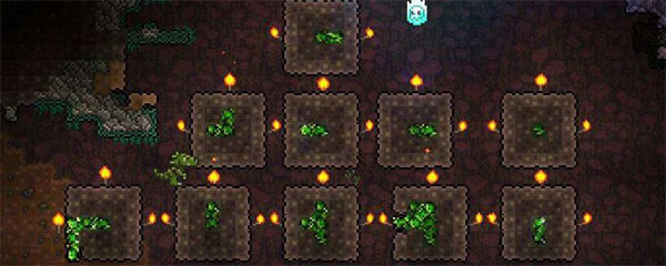 泰拉瑞亚1.4汉化版