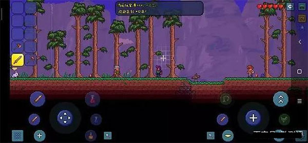 terraria全物品存档版