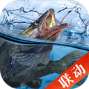 天天钓鱼官方正版
