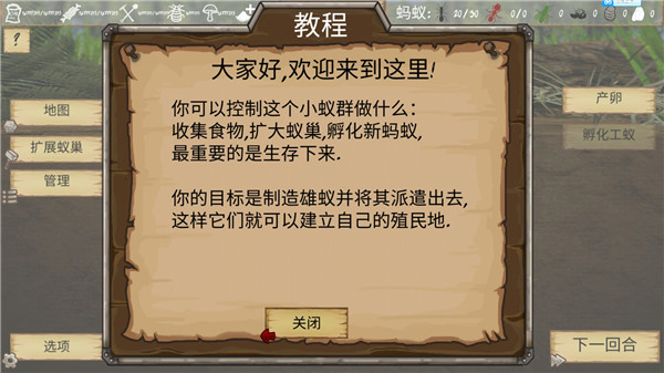 最后的蚂蚁中文版(Finally Ants)